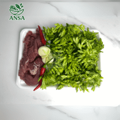 Ngựa Xào Thiên Lý