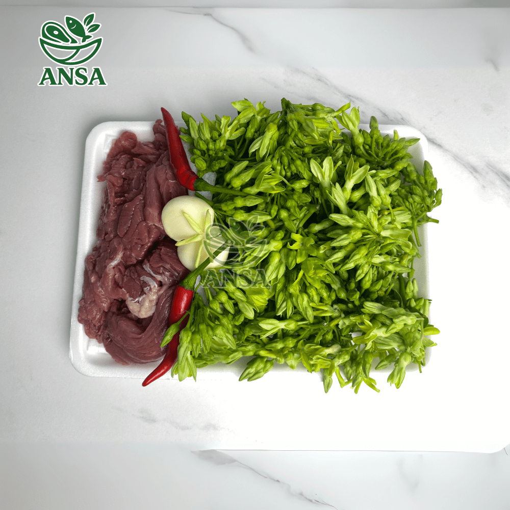 Ngựa Xào Thiên Lý